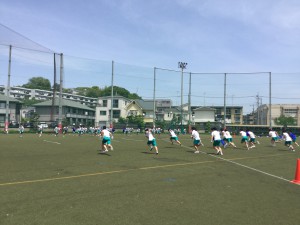 綱取り合戦